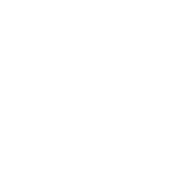 Linktree QR Code weiss 250px